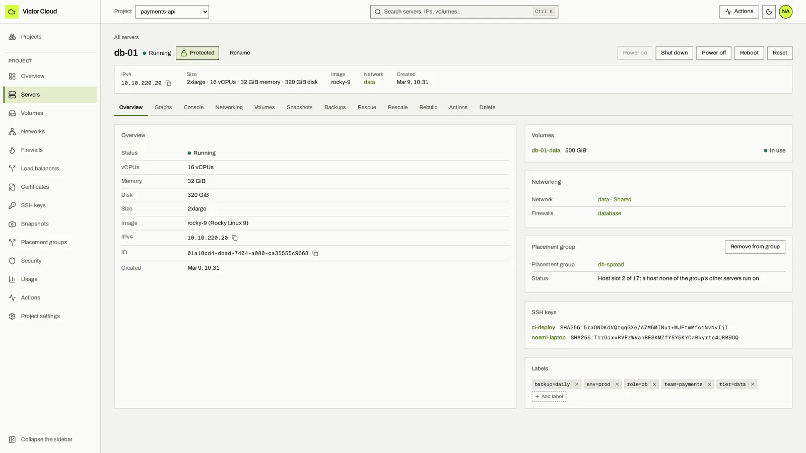 Server overview: Power, console, volumes, snapshots, backups, rescue, rescale and rebuild.