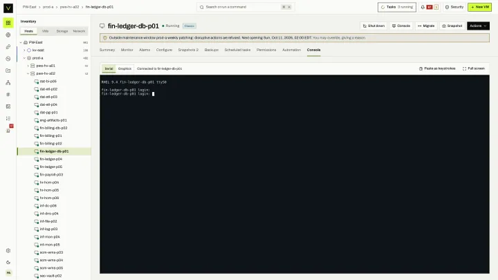 Web console in the victor view: Browser console access to a guest without leaving the VM view.
